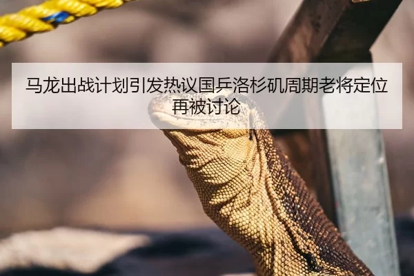 马龙出战计划引发热议国乒洛杉矶周期老将定位再被讨论