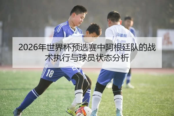 2026年世界杯预选赛中阿根廷队的战术执行与球员状态分析