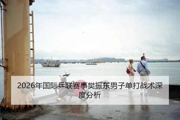 2026年国际乒联赛事樊振东男子单打战术深度分析